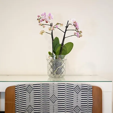 Casa de Férias Sa Babbajola